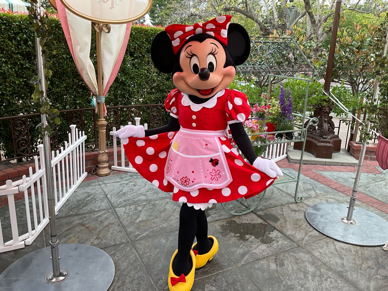 DLRへの道】ミニーちゃん推しのキャラクターダイニング「プラザイン