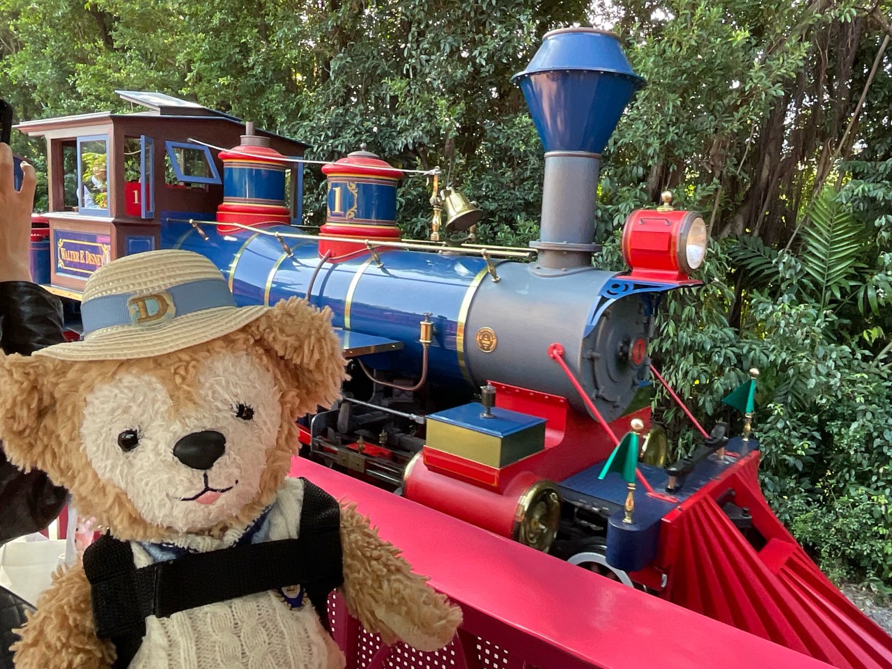 香港レポ】アナ雪エリアオープンでついに復活！香港ディズニーランド