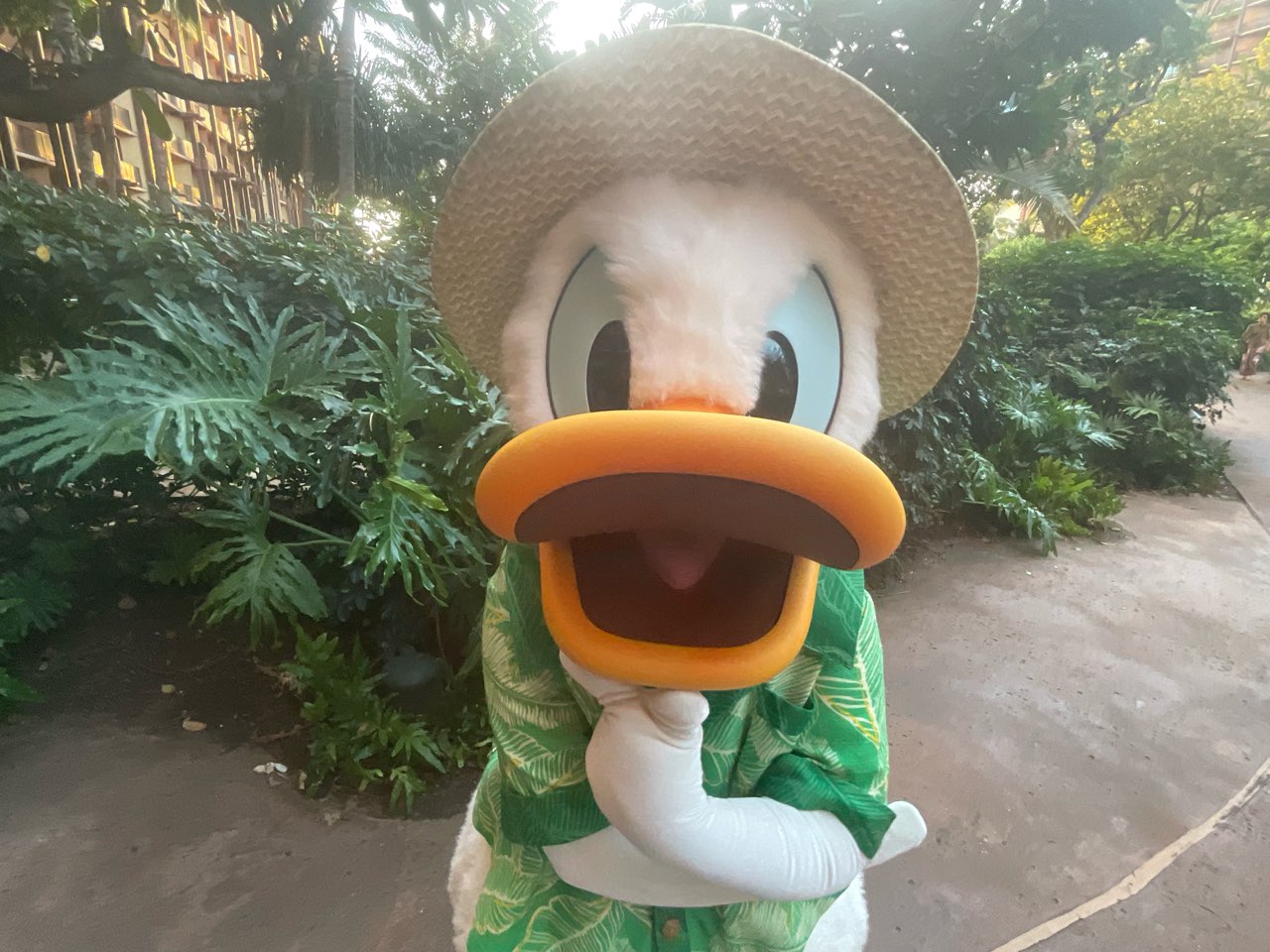 ディズニー アウラニ ハワイ マックス ぬいぐるみ グーフィー アロハ