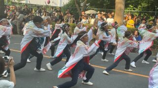 【よさこい】関東で地元に根付いたよさこいといえばここ（彩夏祭予告）