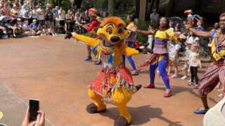 【パリレポ】超人気ショーが6年ぶりの再演！「Timon's Matadance」