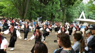 【よさこい】主体は変われど(よさこい祭りin光が丘公園予告)