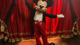 【パリレポ】取れたら楽々！ディズニーランド・パリでミッキーに会おう