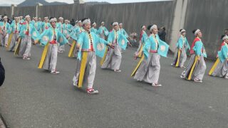 【よさこい】12年ぶりに行ってみたら…！(よさこい東海道報告)