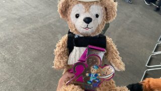 【香港レポ】香港ディズニーランドマラソン2025に挑戦！(ダッフィー&フレンズ3km編) 