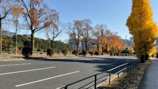 【ゆるゆるランニング】今日のさらラン（12/23、25）