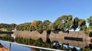 【ゆるゆるランニング】今日のさらラン（11/28～30）