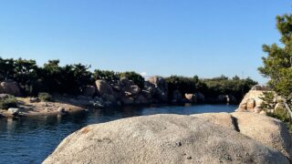 【ゆるゆるランニング】今日のさらラン(1/15〜16) 