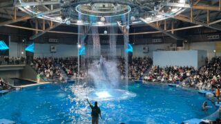 【Summyの日々徒然】2025年振り返りと2026年に向けて 