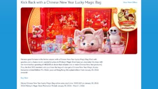 【香港レポ】香港ディズニーランド初登場！春節福袋に挑戦 